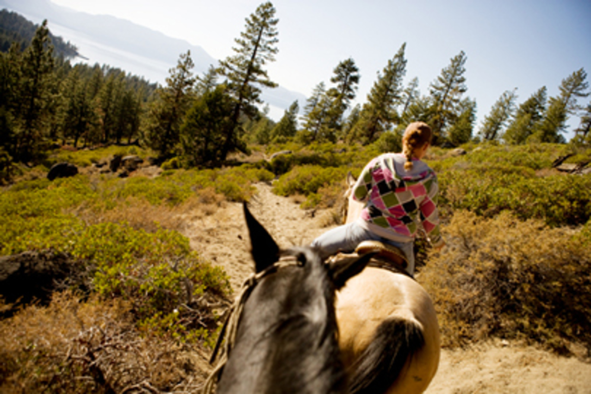 Horseback riding